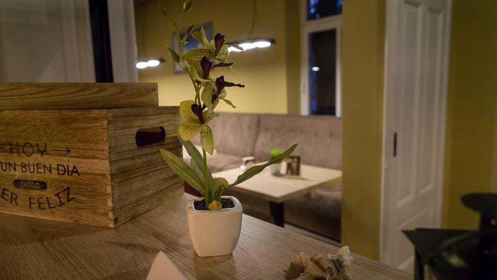 Hotel-Feuerstein Neuenkirchen  Luaran gambar